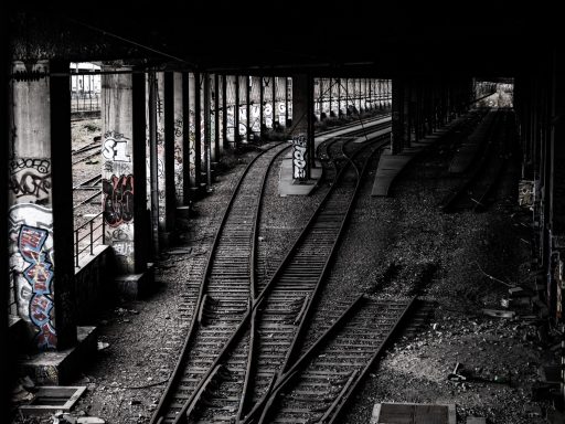 La Petite Ceinture, Paris