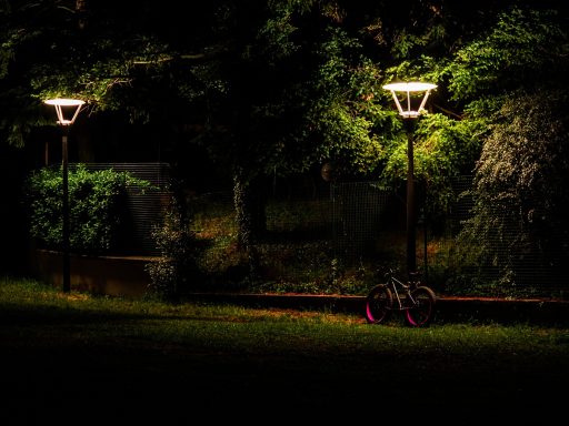 Jardin Lyonnais